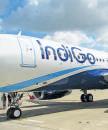 Sensex entry may cushion IndiGo's tumbling stock
