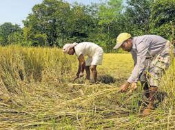Rural jobs law 2.0: More days, states must chip in