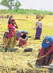 Govt aims to roll out revamped rural jobs scheme from April