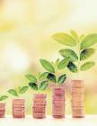 Should I rebalance my portfolio?