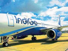 Investors eye IndiGo’s Q3 performance