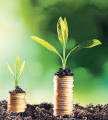 Tata AMC exits AIFs amid tax pressure, SIF competition
