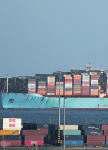 War throws up rare winner in Great Eastern Shipping