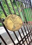 Delhi HC refuses to ask Dr Reddy’s to junk Olymviq stock