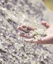 India, US tie up for critical minerals after China shock
