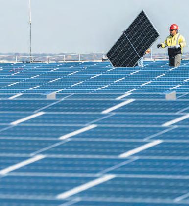 Trump's climate rollback mustn't slow our green transition down