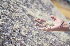 Status quo on critical minerals, but race won't ease for India