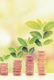 Sebi study spots 40 mn new investors set to enter market
