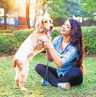 Protect pets from cancer