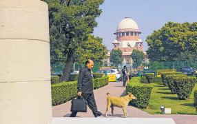 SC says courts can't impose timelines on Prez, state guvs