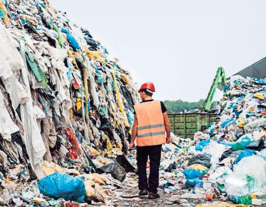 Can a dictionary make sustainability simpler?