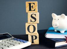 ESOPs AND THE CASH-OUT DILEMMA: WHEN LOYALTY MEETS CONCENTRATION RISK
