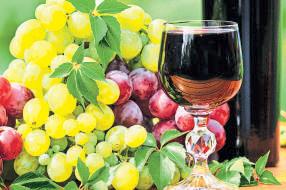 Rains sour Maharashtra’s grape harvest, hit wineries