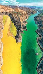 Where gold and emerald meet in a realm of ageless wonder