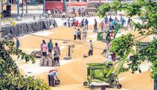 Eyeing exports, India to tap AI for quality checks, distribution, storage
