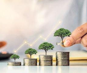 Zerodha's VC arm bucks the climate-tech funding slack