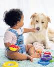 Can my will provide for my pet's future care and maintenance?