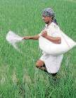 Subsidy outgo for FY26 first II months at 91% of year’s target