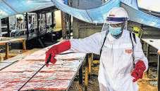 India advises against travelling to Congo, Uganda amid Ebola surge