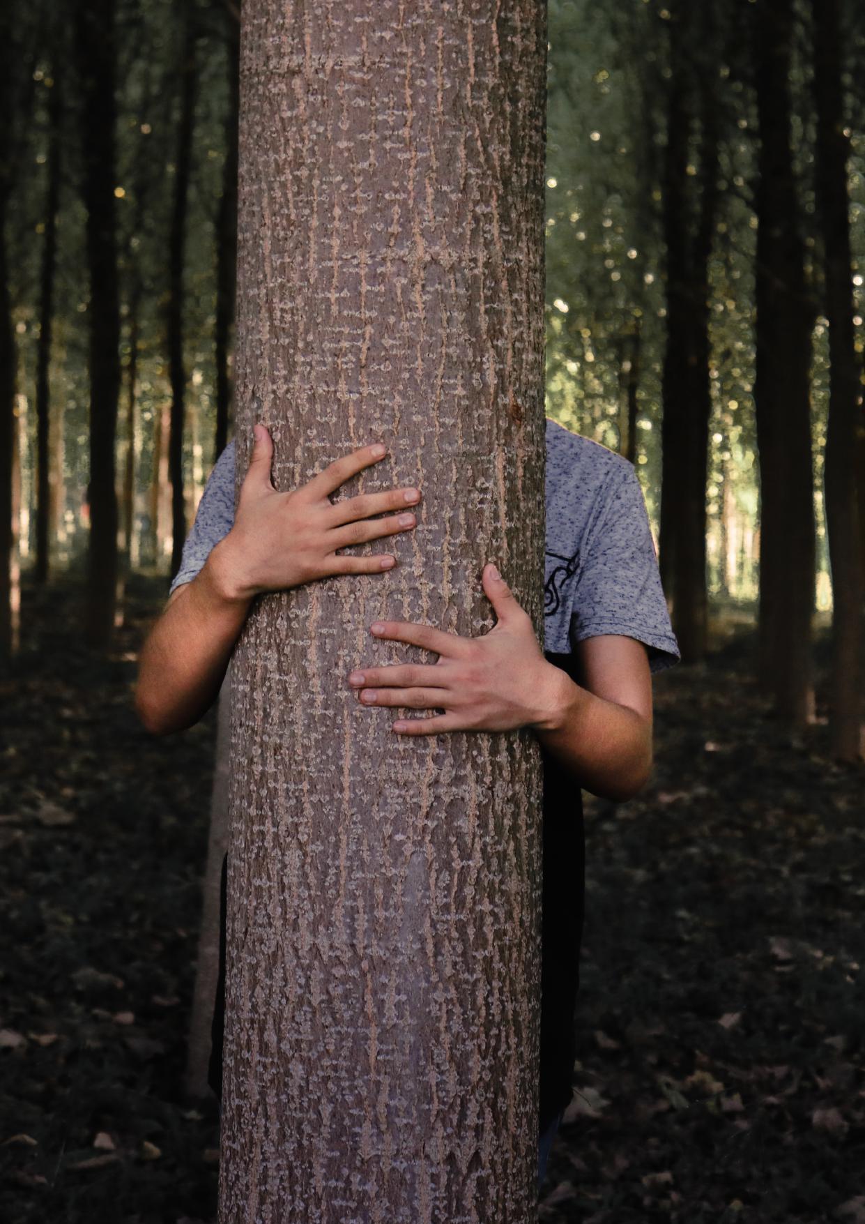 BETWEEN REJECTION AND DAWN