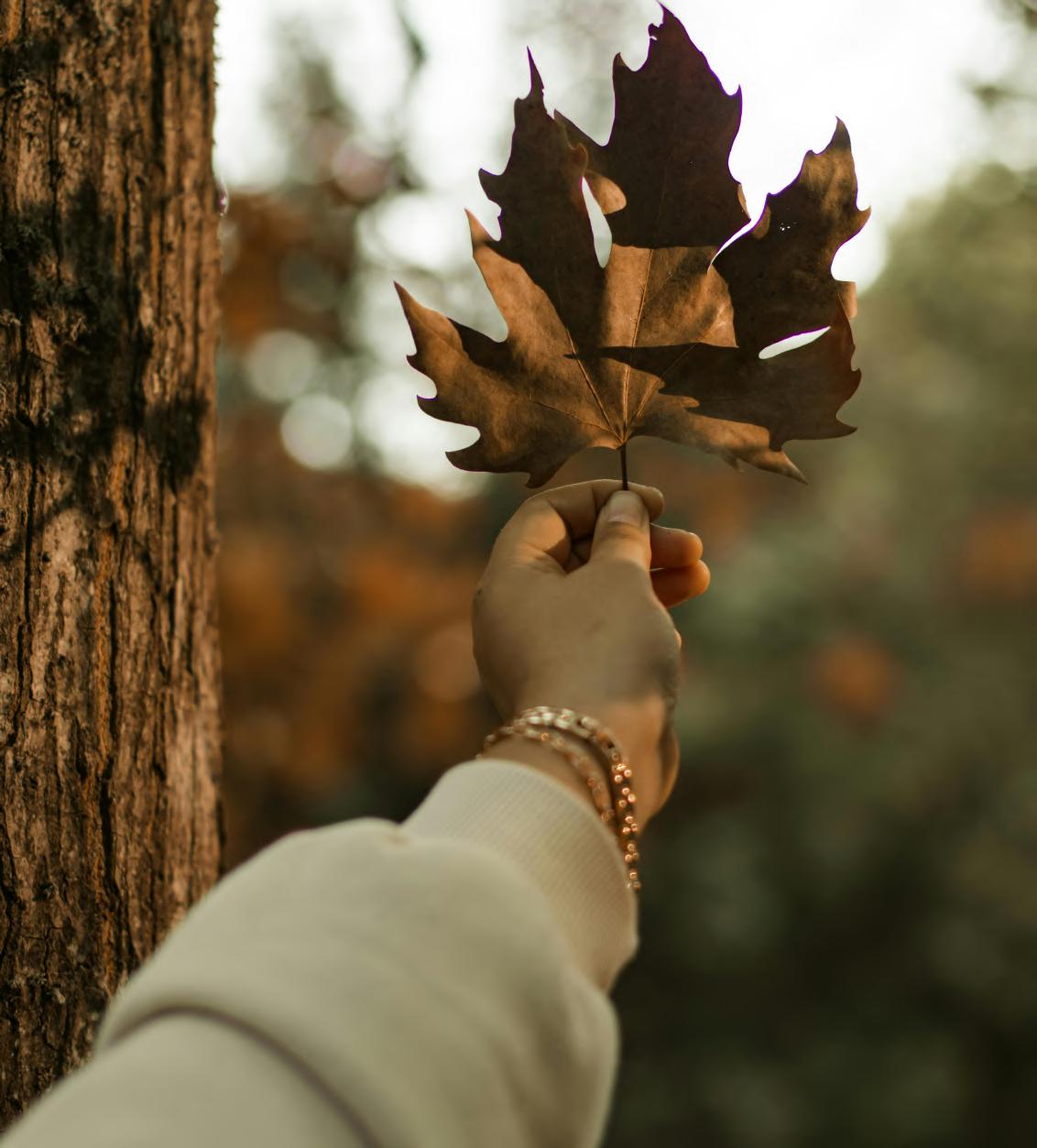"Forgive Without Forgetting: Break the Trap" (Self-Reflection)