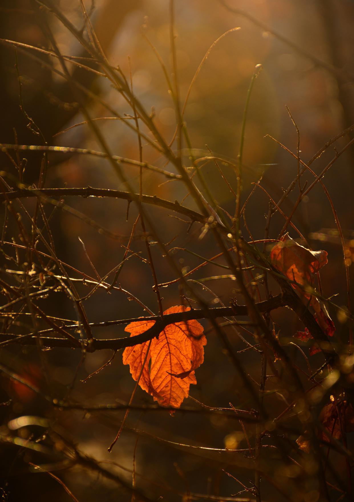 A Quiet Beginning