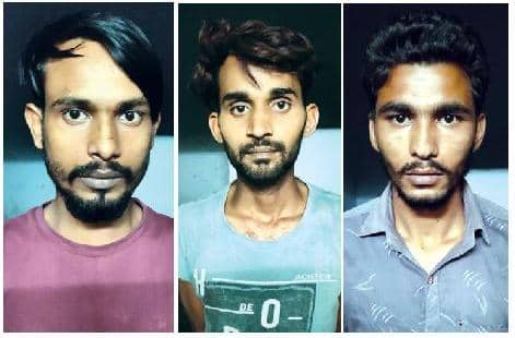 દોરડાં વગર બિલ્ડિંગ પર ચડીને ચોરી કરતી 'છીપકલી ગેંગ' ઝડપાઈ