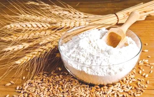 વરસાદની ઋતુમાં કચો લોટ ખાવો વધુ સારો
