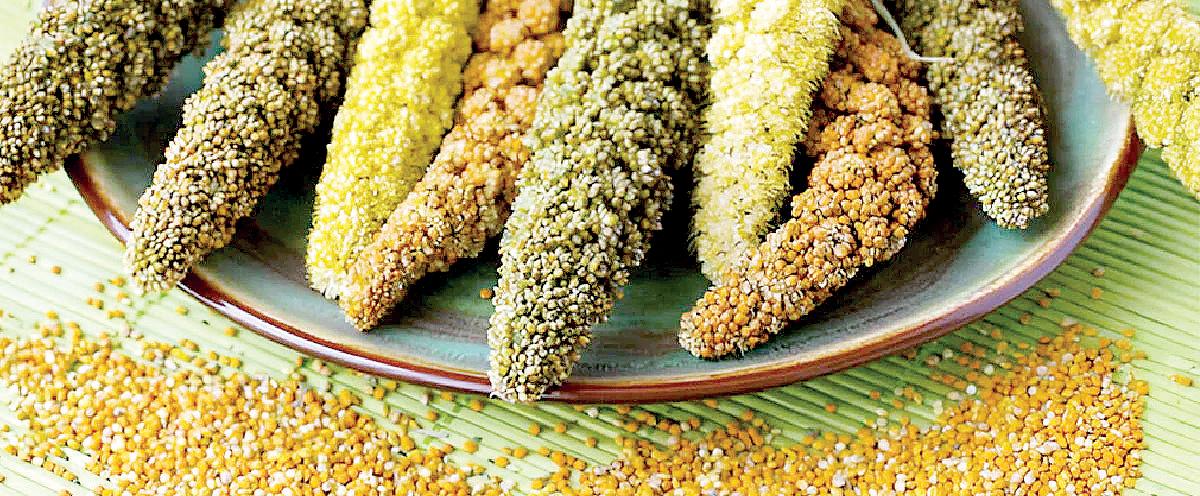 શરીર રહેશે ઊર્જાવાન