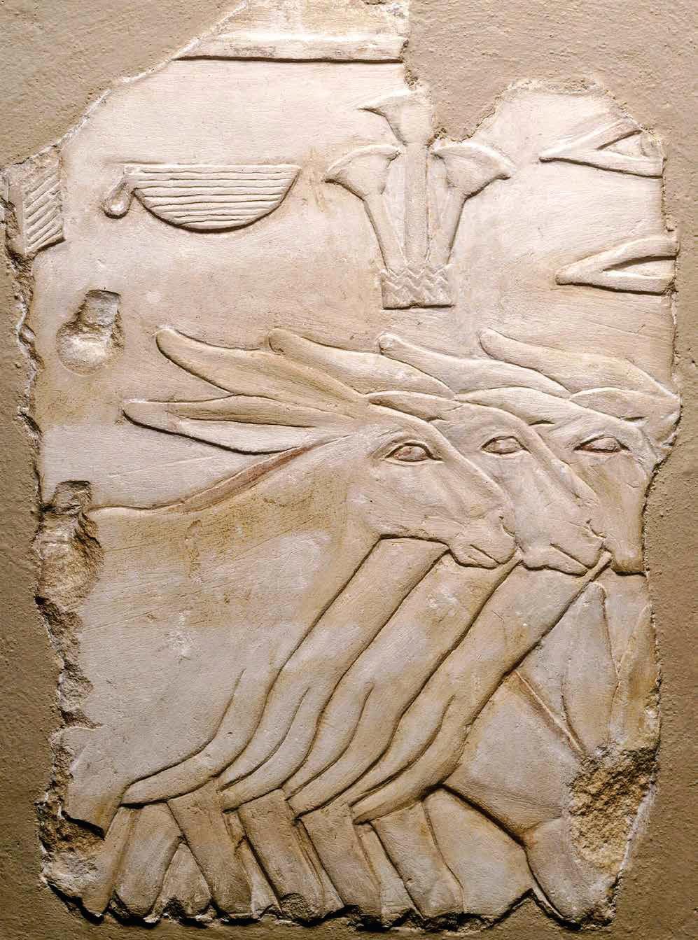 BURROS LOS 4×4 DEL MUNDO ANTIGUO