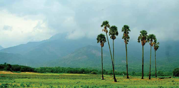 ജില്ലകളുടെ ഭൗമശാസ്ത്രം