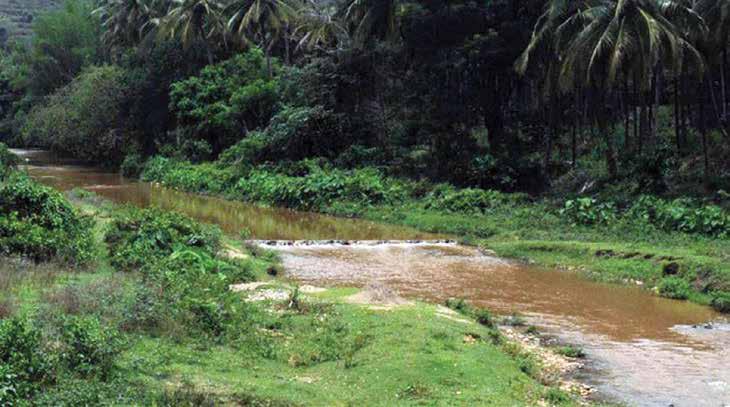 ഒരു നദി പുനരുജ്ജീവനത്തിന്റെ കഥ
