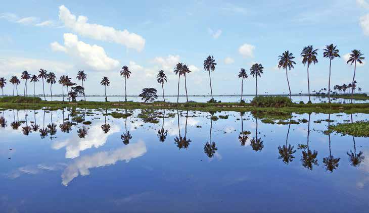 കോട്ടയം