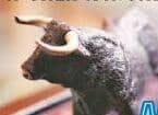 Sensex Rises 1,384 Pts To New High In Bull Charge
