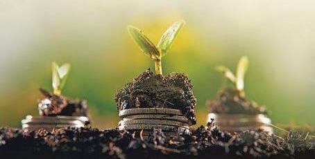 EU signals no relief for India on CBAM, deforestation rule