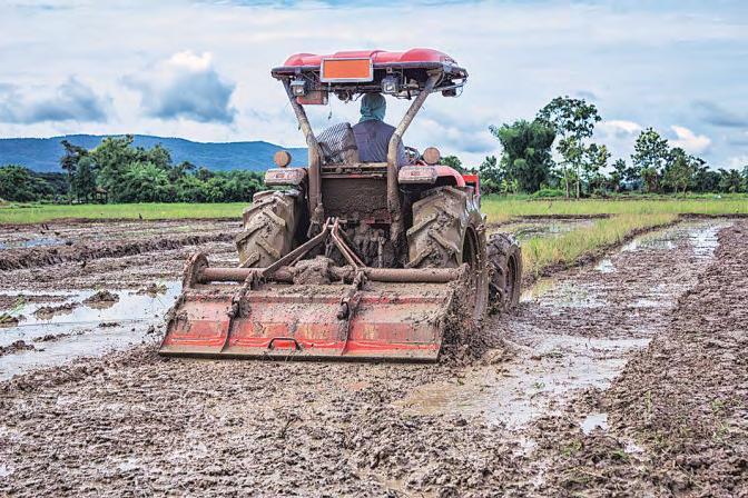 Chasing the Monsoon