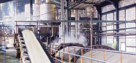 Sugar Stocks Sweeten as Output Forecast Sours