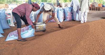 Wheat procurement season off to a strong start