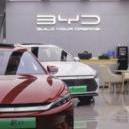 BYD Plans EV Plant With Megha Engg In Telangana