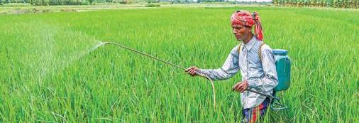 Non-urea fertiliser subsidies increased
