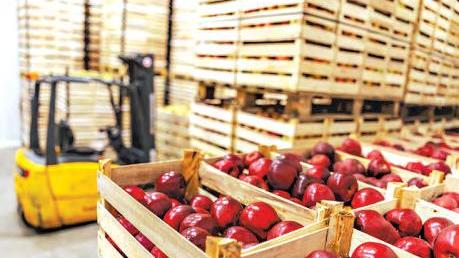Silver lining for agri as duties lower than rivals