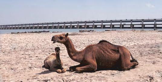 Panic grips Pakistan as India vows to cut off water supply
