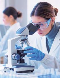 MFs Popped Pharma Pill in Q4 Amid Tariff Suspense