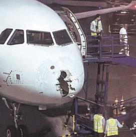 IndiGo flight denied entry into Pak airspace amid hailstorm: DGCA