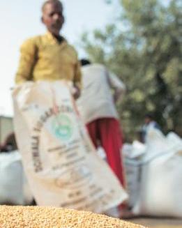 Procurement of rice, wheat and total on marketing year basis (in million tonnes)