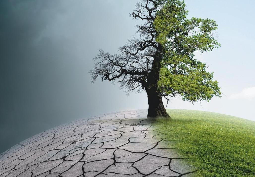 Climate change at COP30: What should India do?