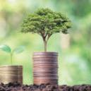 Climate tech stumbles in cold investment climate