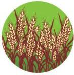 Crop cutting surveys ramped up for better farm output estimates