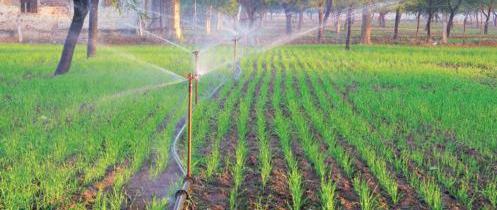 House panel expresses concern over staff shortage at KVKs