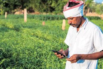 KCC Accounts in PSBs Down 1.8% in FY25